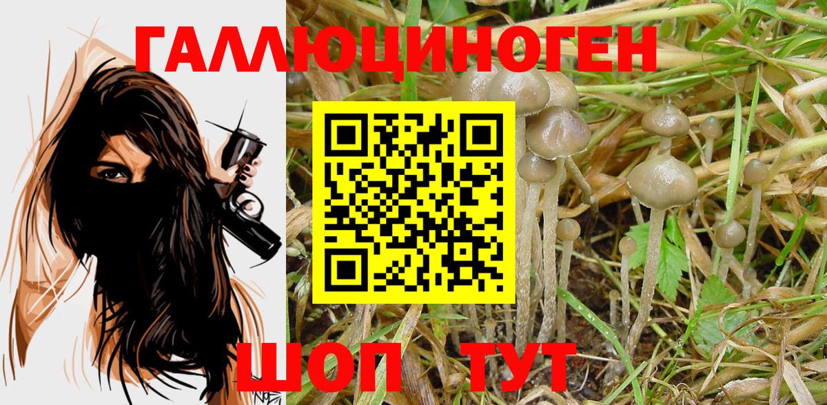 Галлюциногенные грибы MAGIC MUSHROOMS Белгород