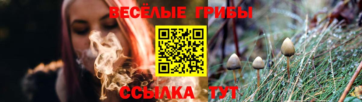 Белгород  Псилоцибиновые грибы прущие грибы  Вход с VPN  Псилоцибиновые грибы прущие грибы 